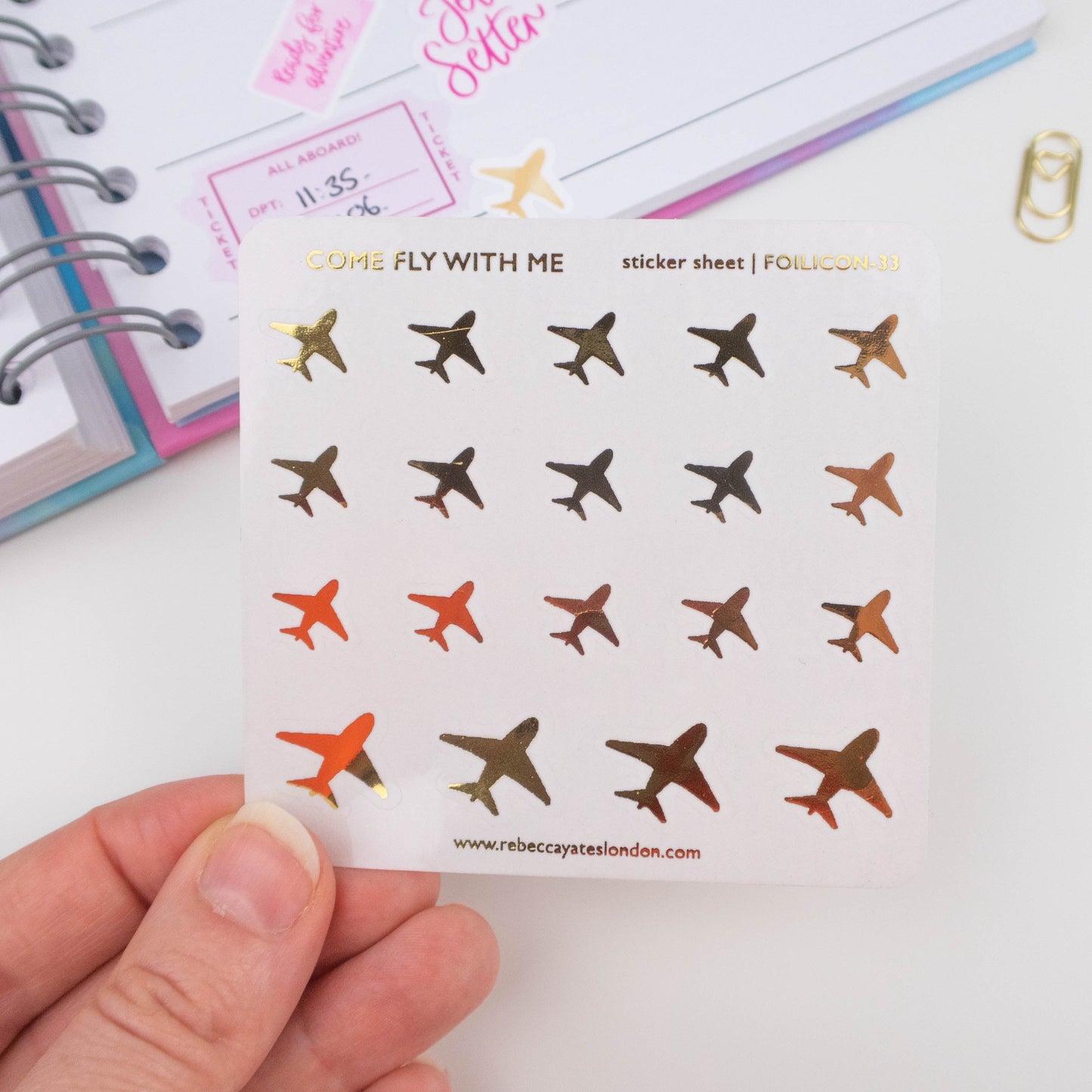 COME FLY WITH ME - FOILED PLANNER STICKERS